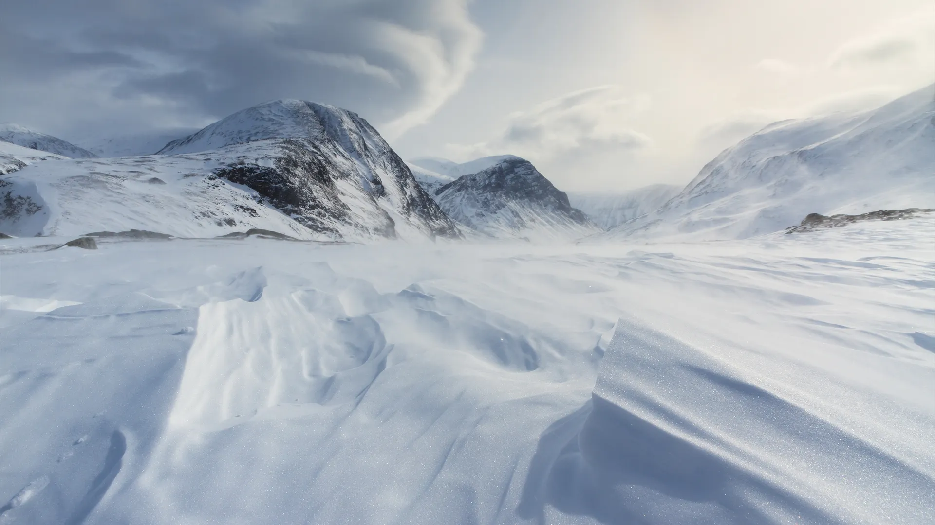 Фото: Sander van der Werf/Shutterstock.com