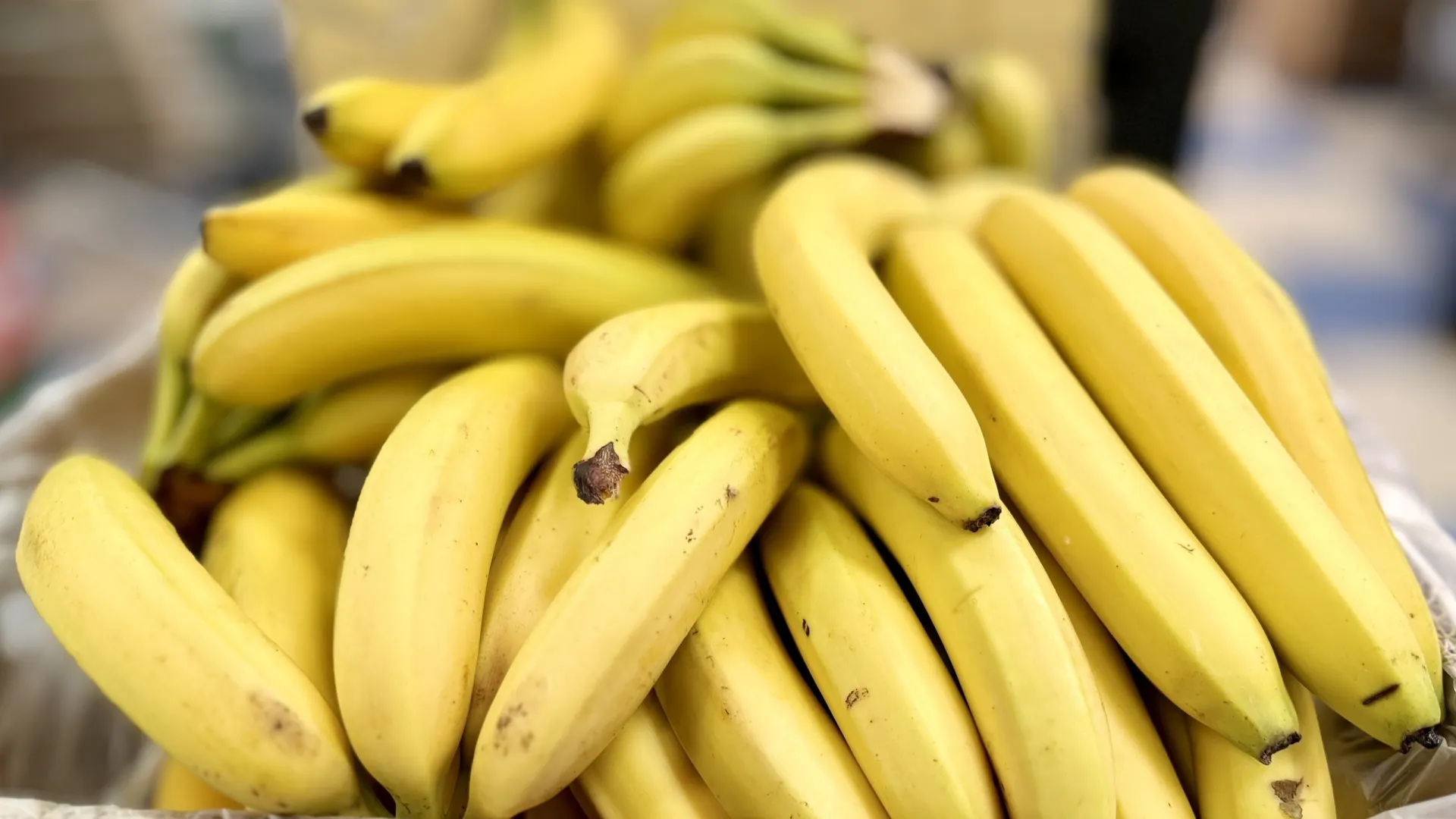 Фото: vipvn/Shutterstock/Fotodom