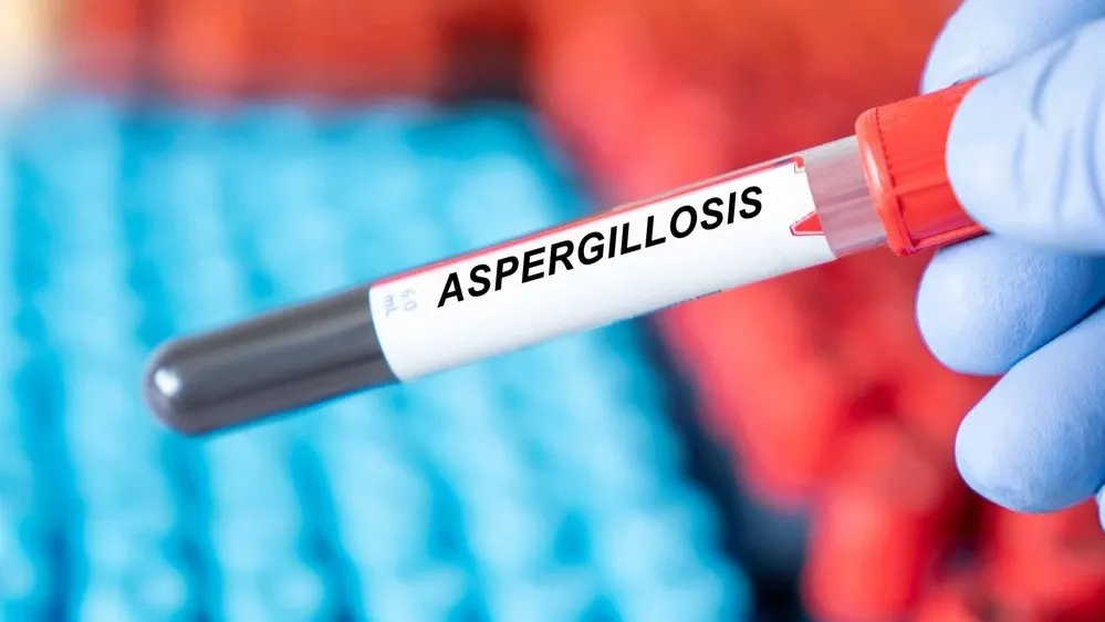 Фото: luchschenF/Shutterstock/Fotodom