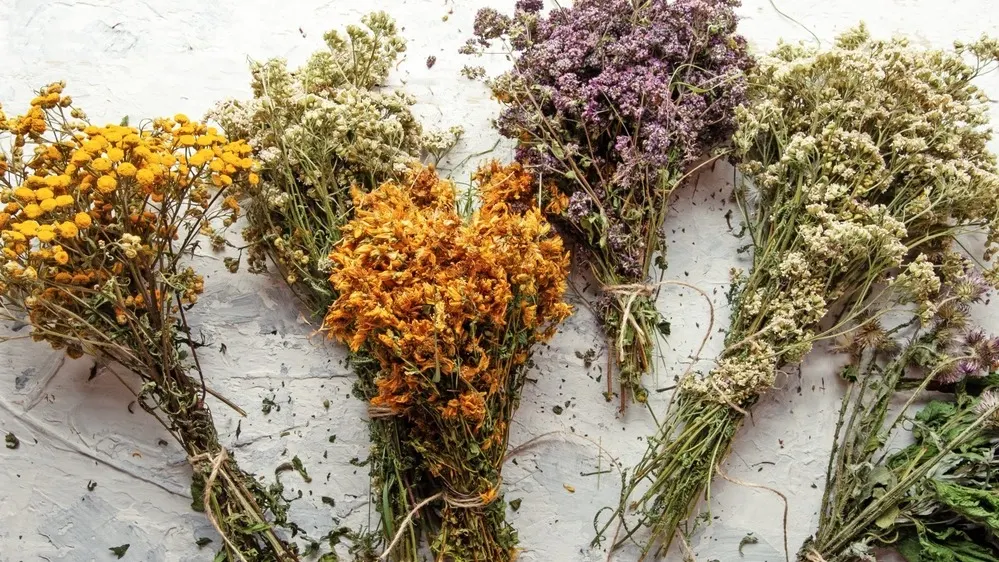 Фото: anakondasp/Shutterstock/Fotodom