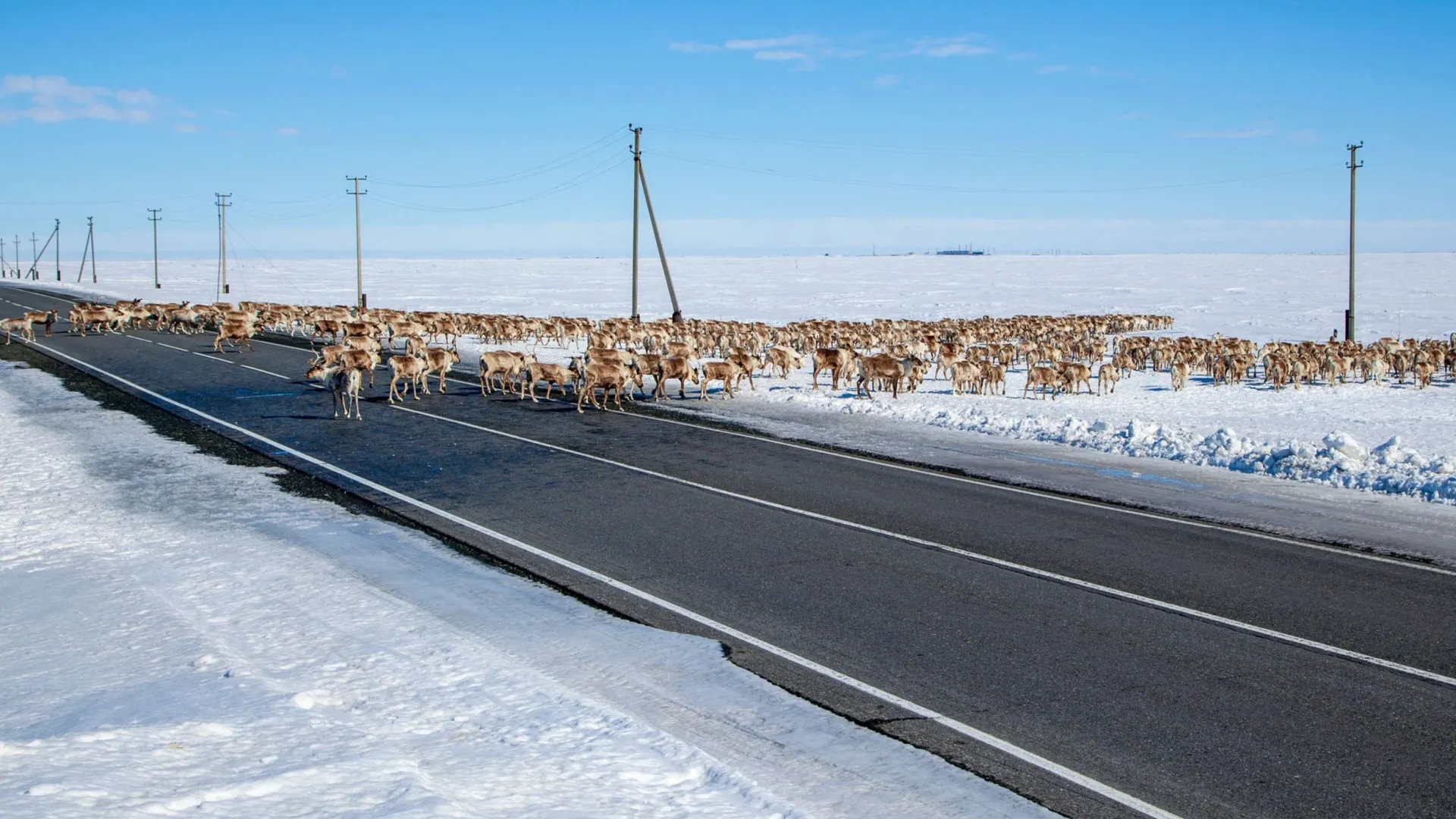 Фото: evgenii mitroshin/Shutterstock/Fotodom