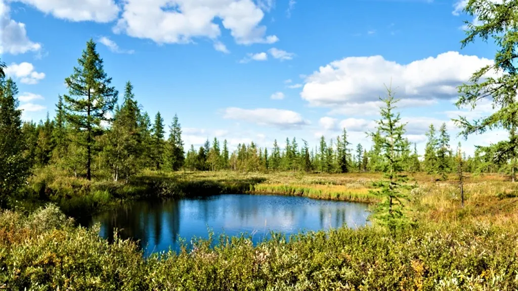 Фото: правительство ЯНАО