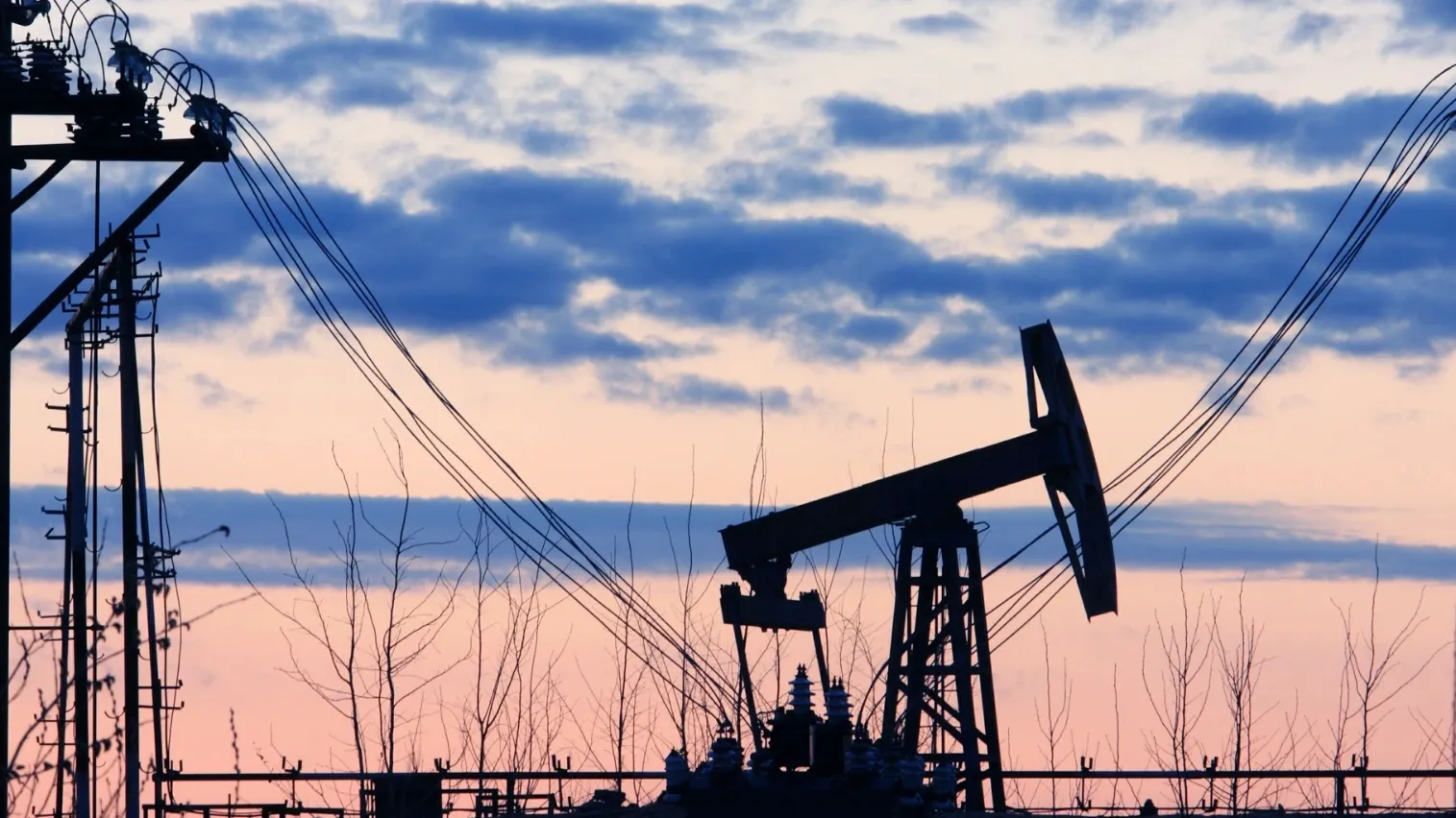 Фото: Nikolay Gyngazov/Shutterstock/Fotodom