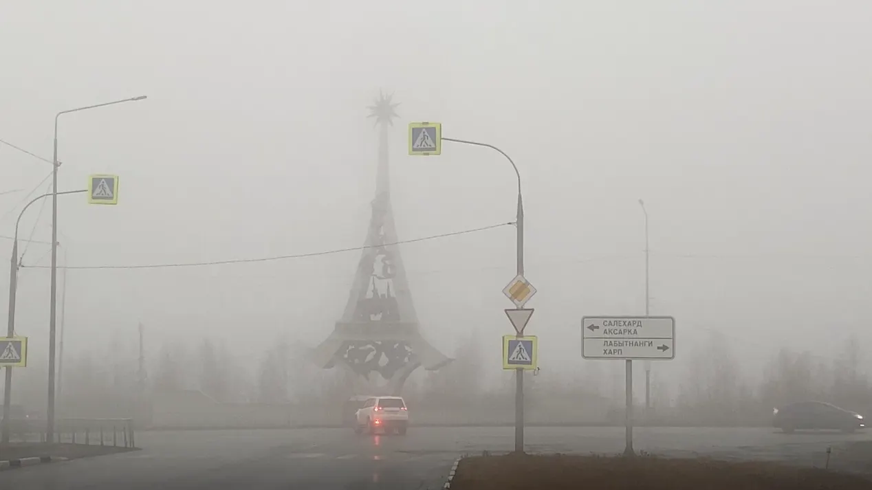 Фото: Вера Дронзикова/«Ямал-Медиа»