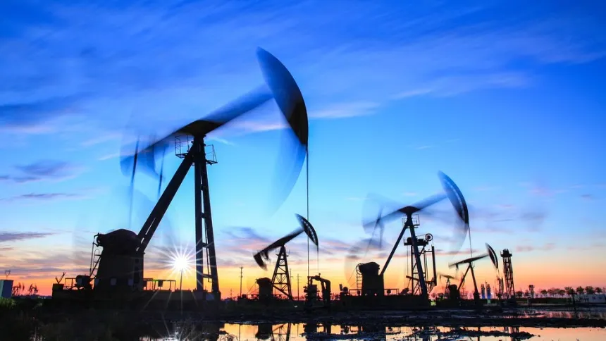 Фото: Zhengzaishuru/Shutterstock/Fotodom