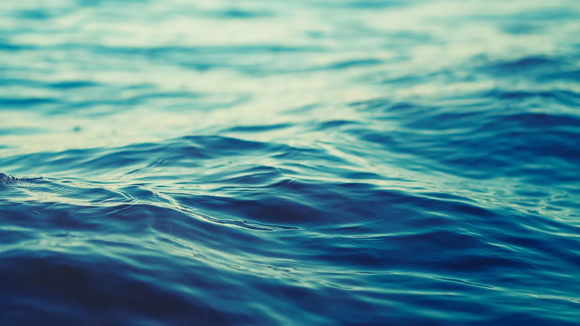 Фото: mycteria/Shutterstock/Fotodom