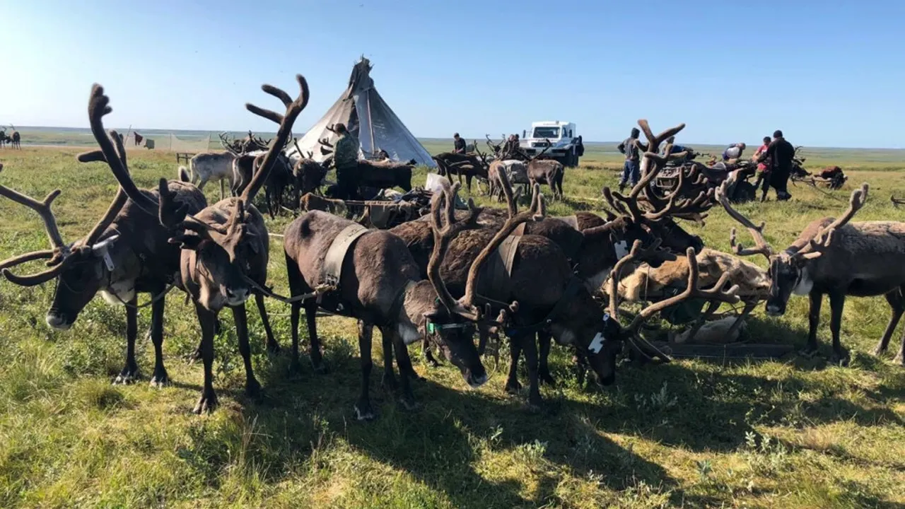 Фото предоставлено пресс-службой губернатора ЯНАО