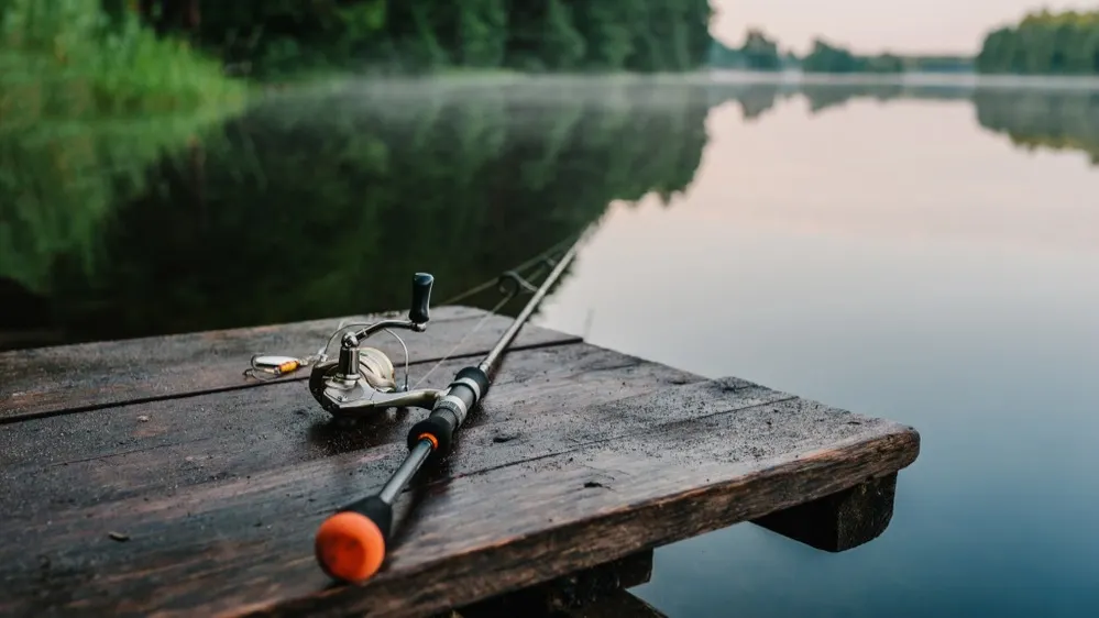 Фото: Sergii Sobolevskyi/Shutterstock/Fotodom