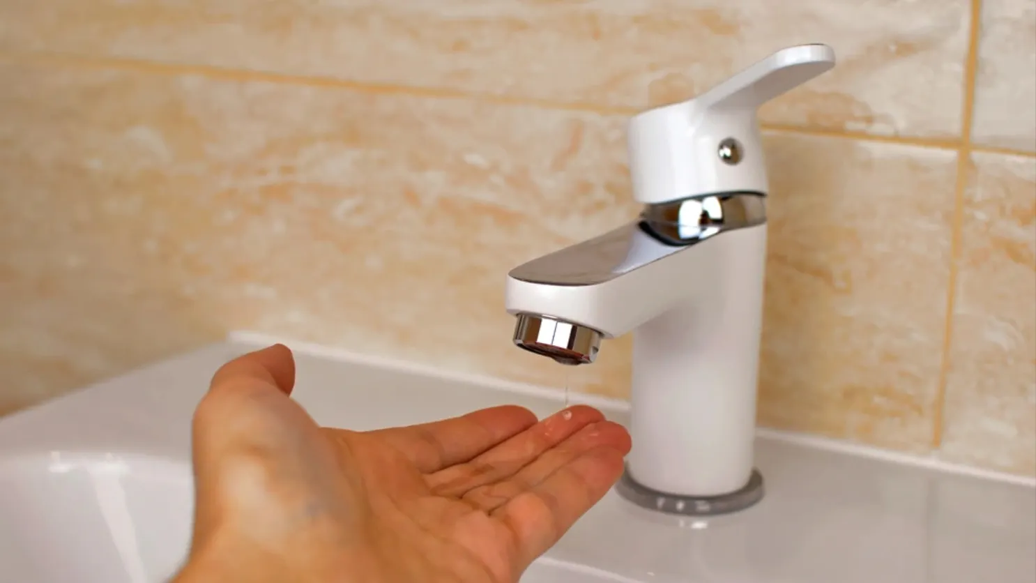 Фото: Om.Nom.Nom/shutterstock.com/Fotodom