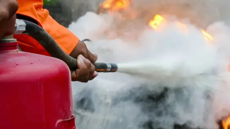 Фото: wonderisland/Shutterstock/Fotodom