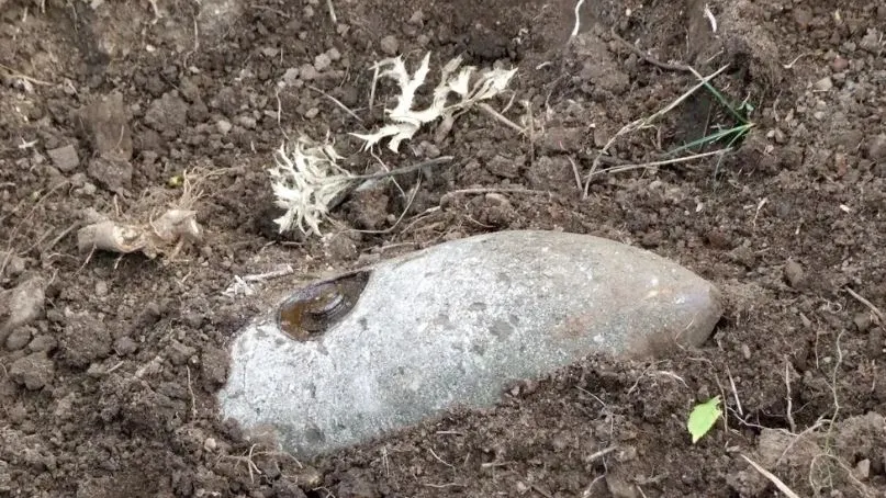 Фото: photovova/Shutterstock/Fotodom