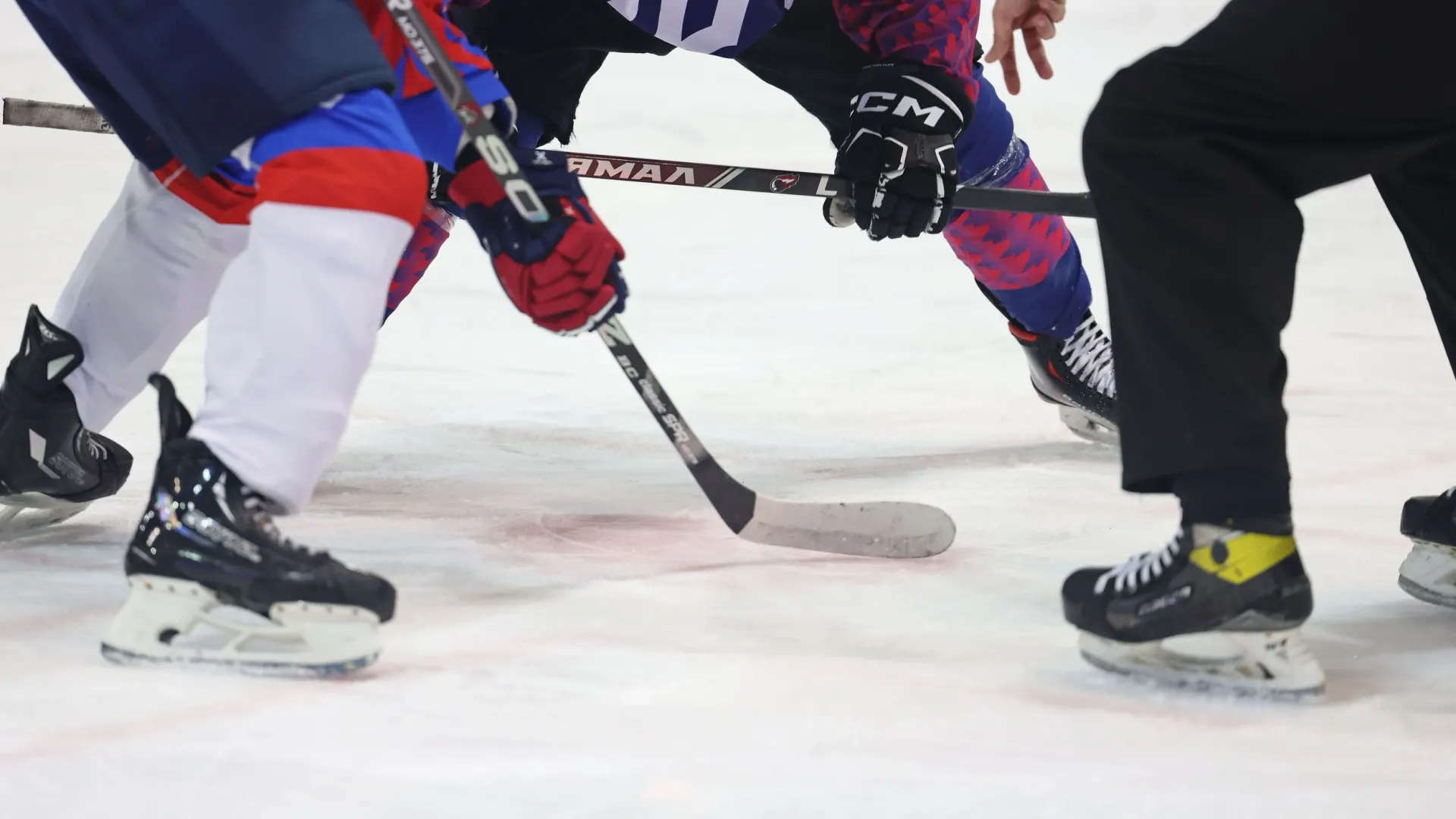 Фото: Андрей Ткачев/«Ямал-Медиа»