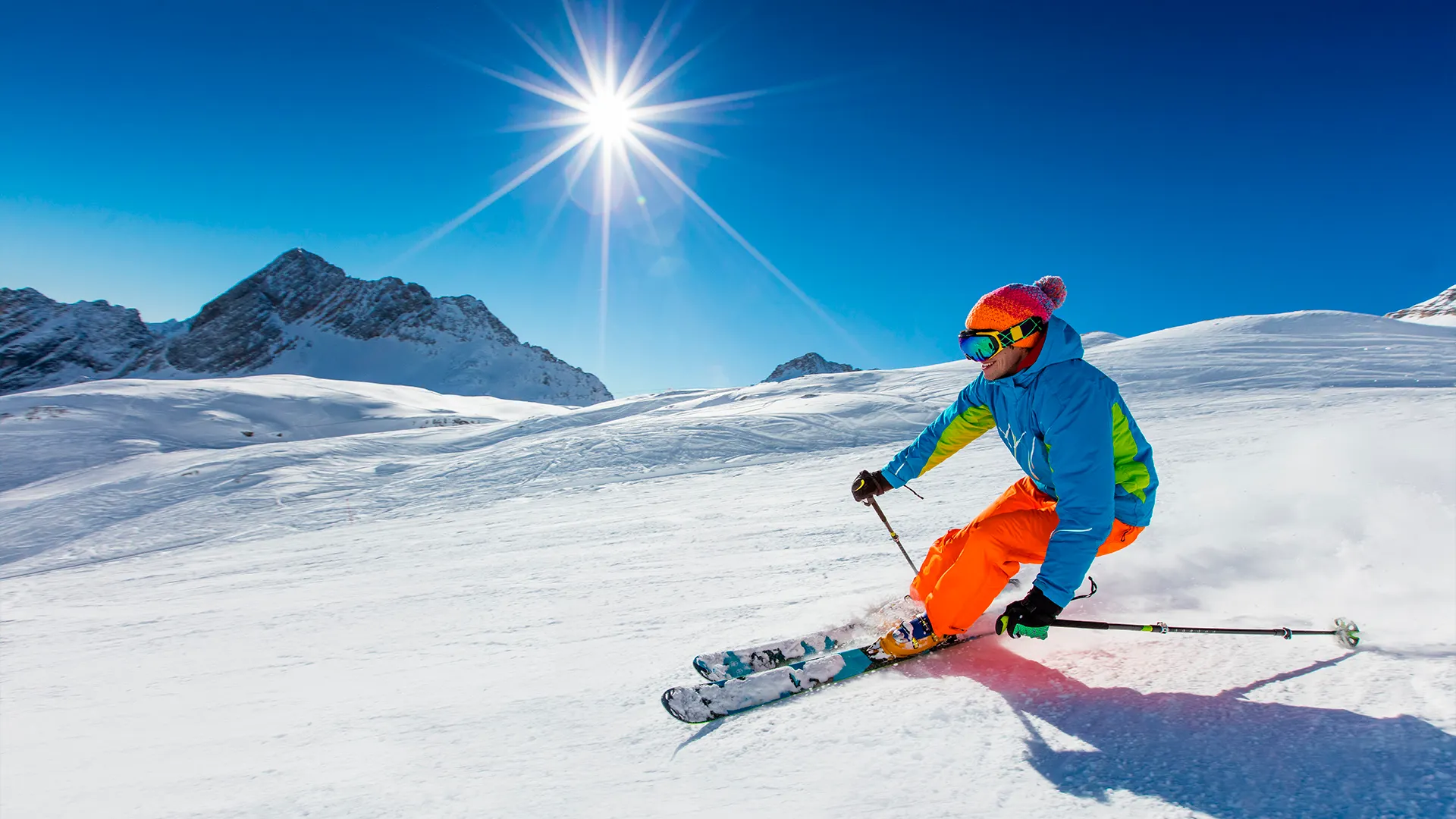 Фото: Lukas Gojda / Shutterstock.com