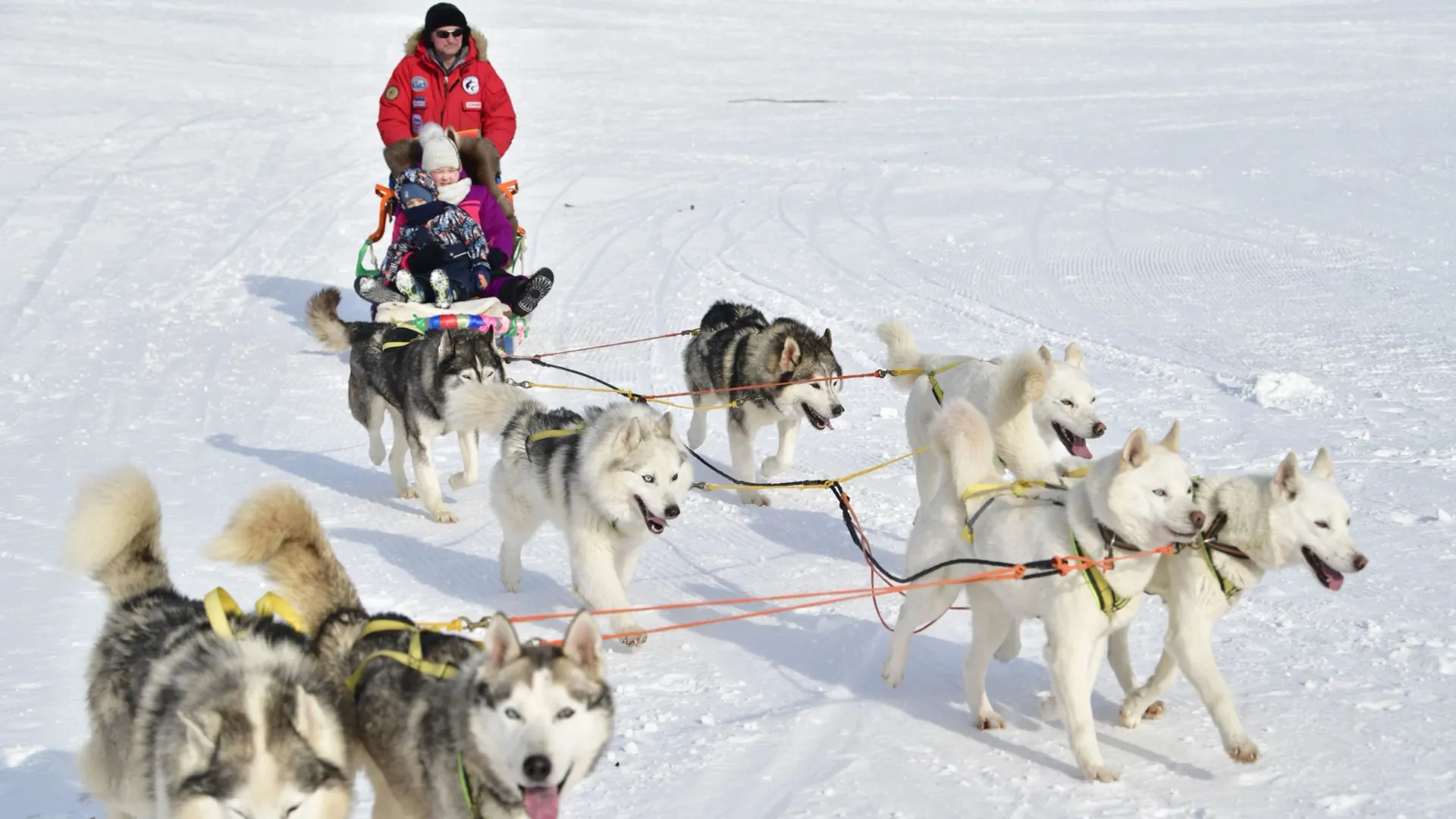 Фото: Андрей Ткачев/«Ямал-Медиа»