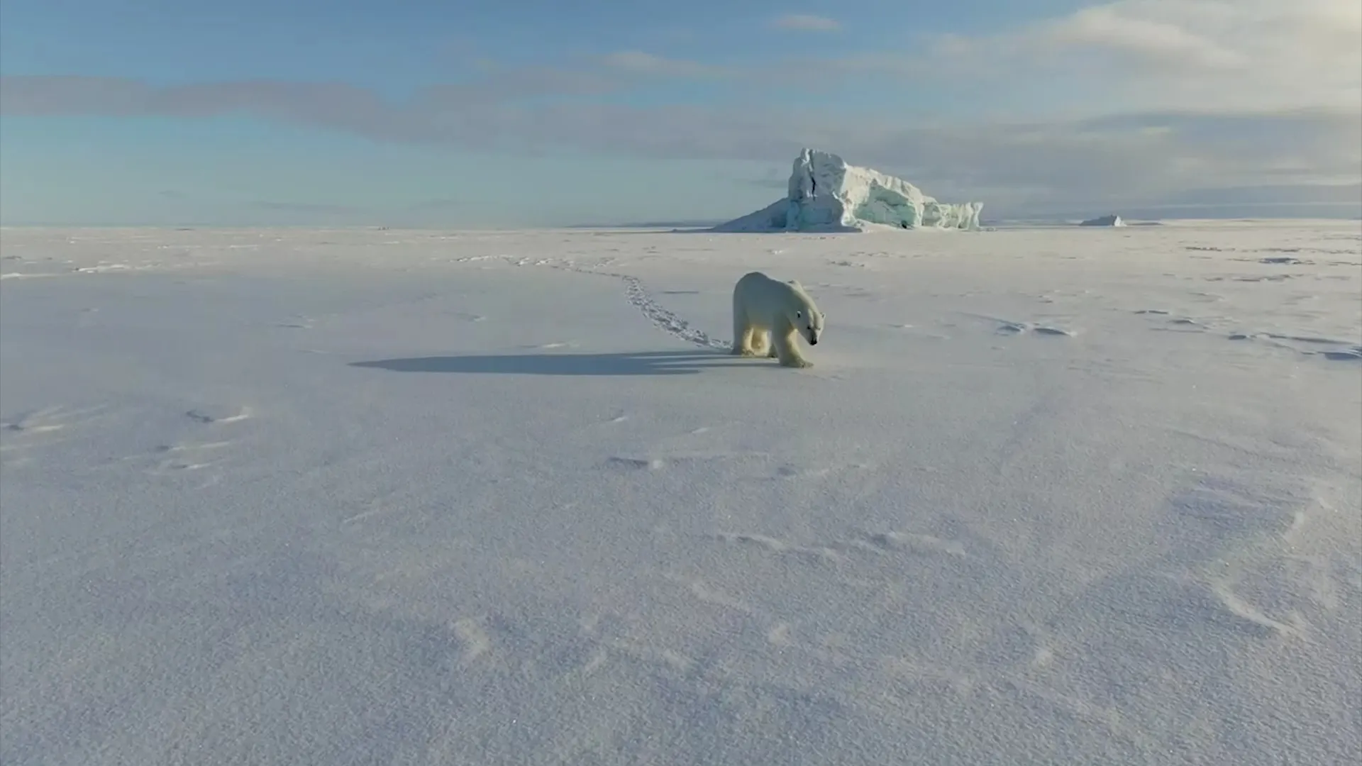 Фото: Новости Ямал