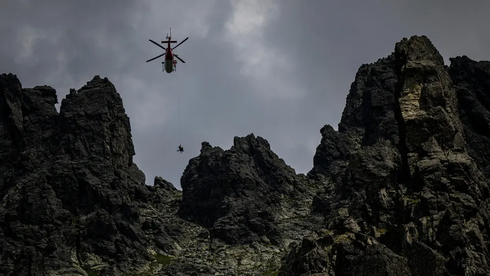 Фото: bieszczady_wildlife/Shutterstock/Fotodom