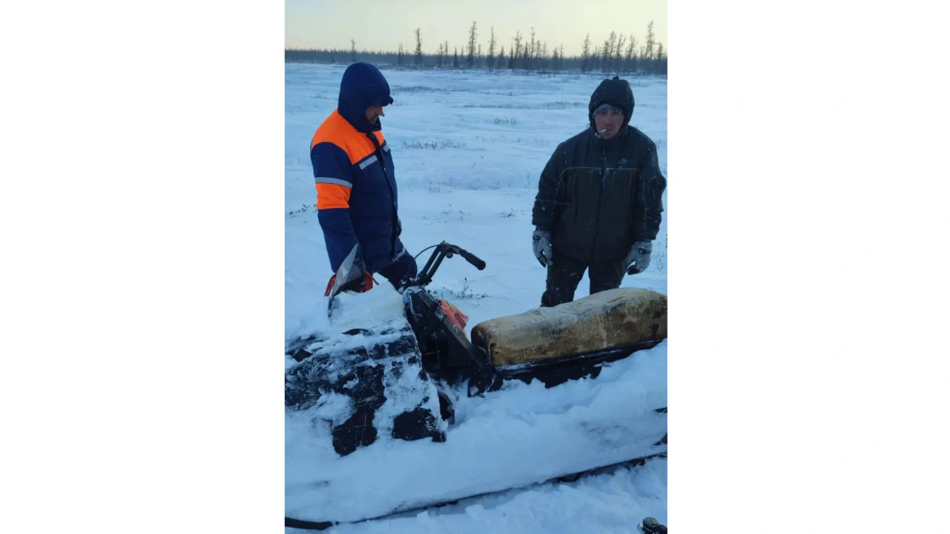 Фото: t.me/dgzipb