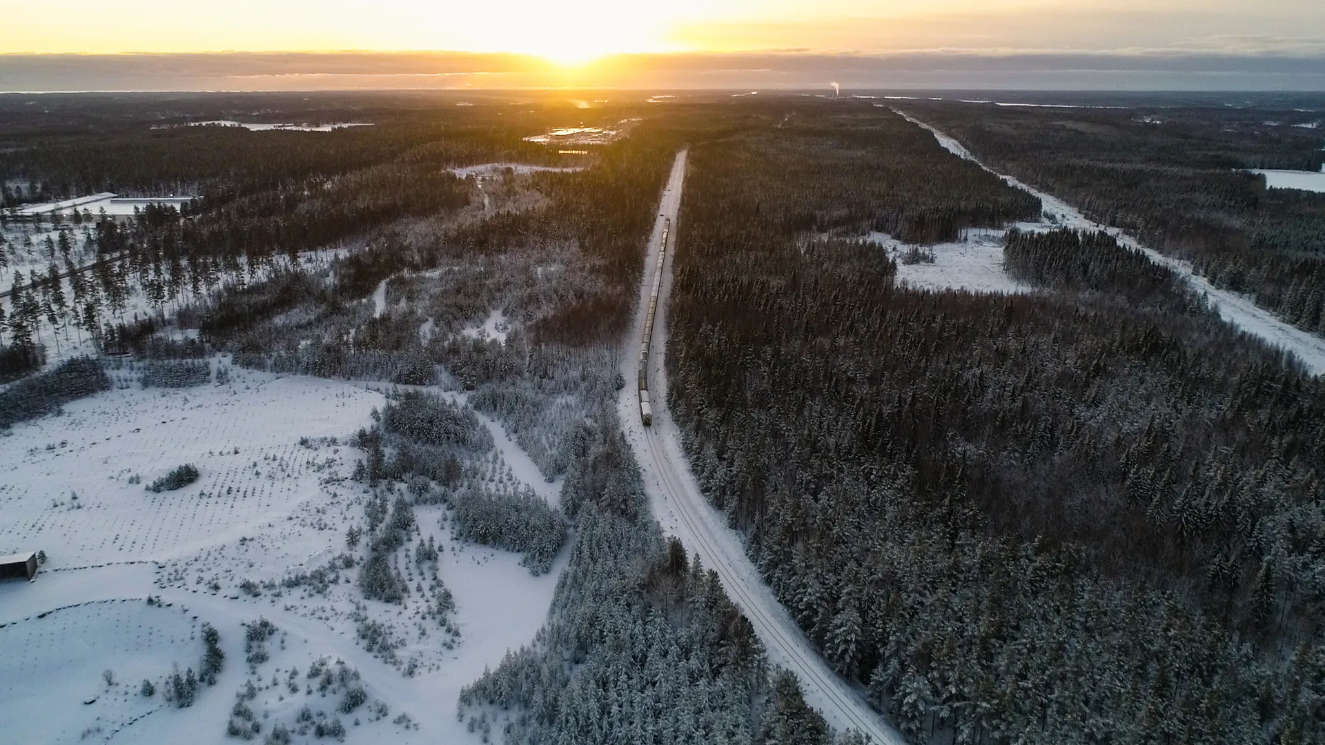 Фото: Wirestock Creators/Shutterstock.com