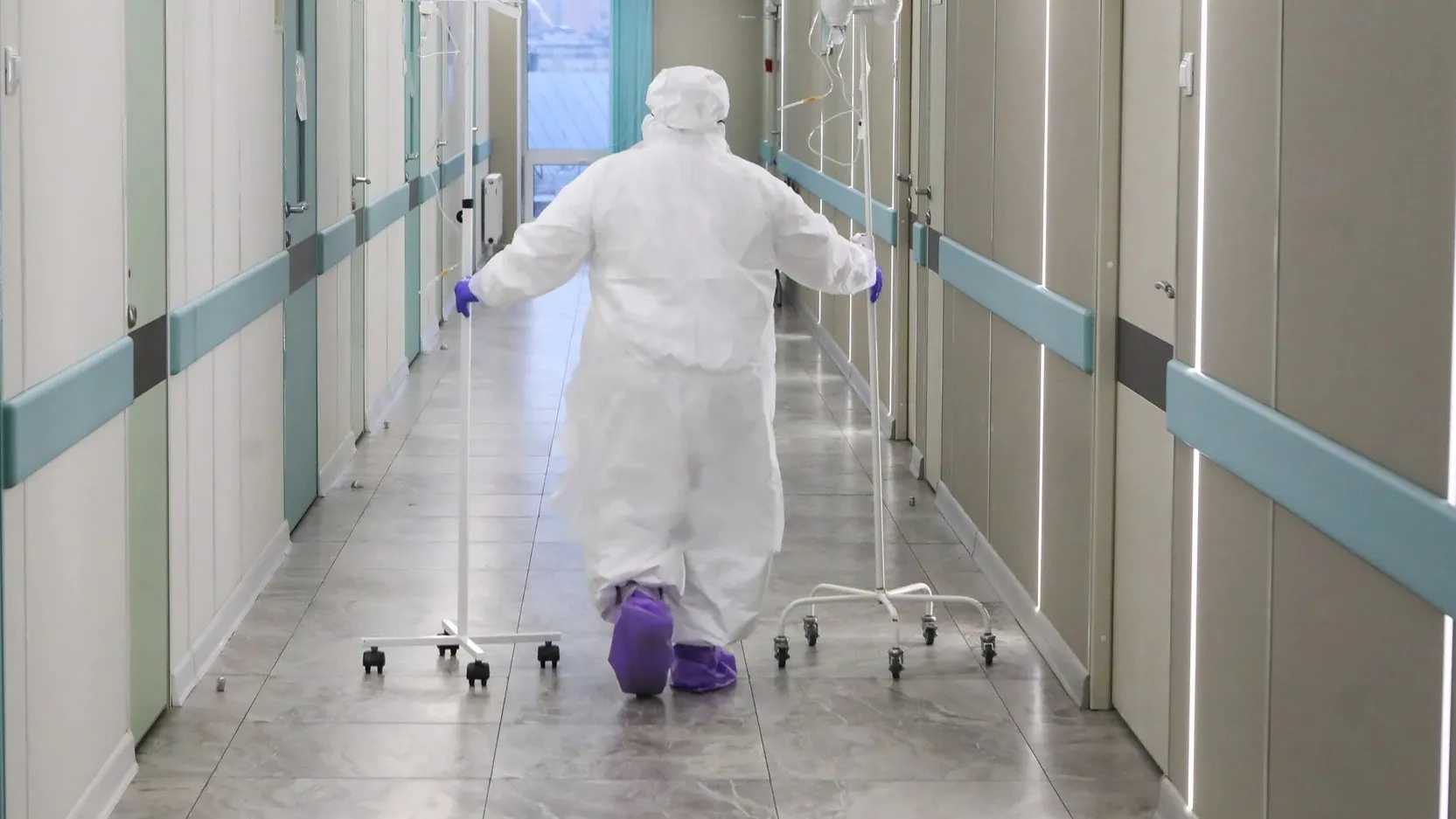 Фото: Pimen/Shutterstock/Fotodom