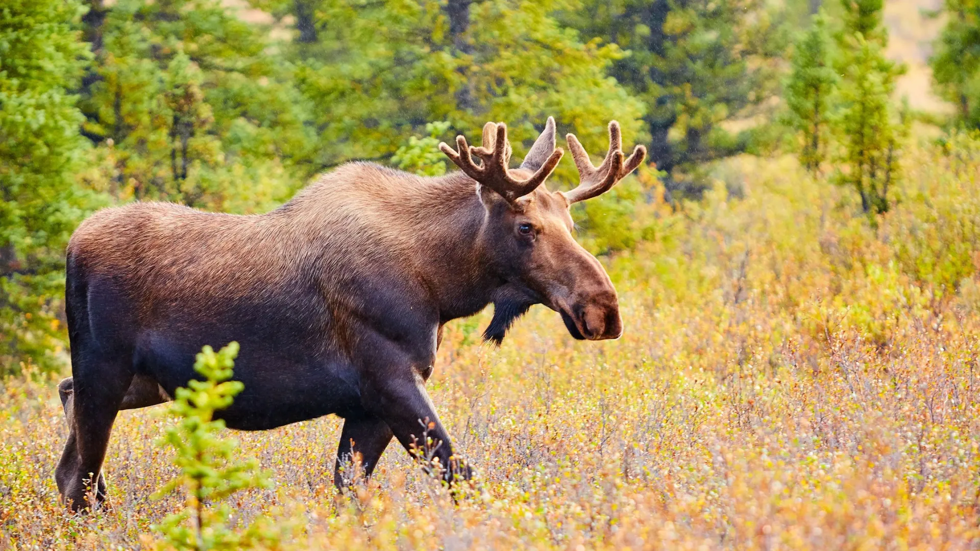 Фото: Michal Sarauer/Shutterstock/Fotodom