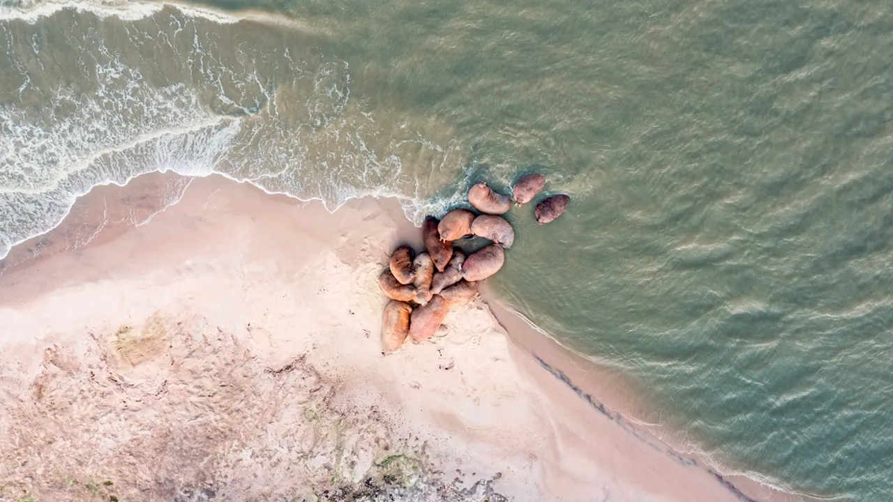 Фото: предоставлено пресс-службой губернатора ЯНАО