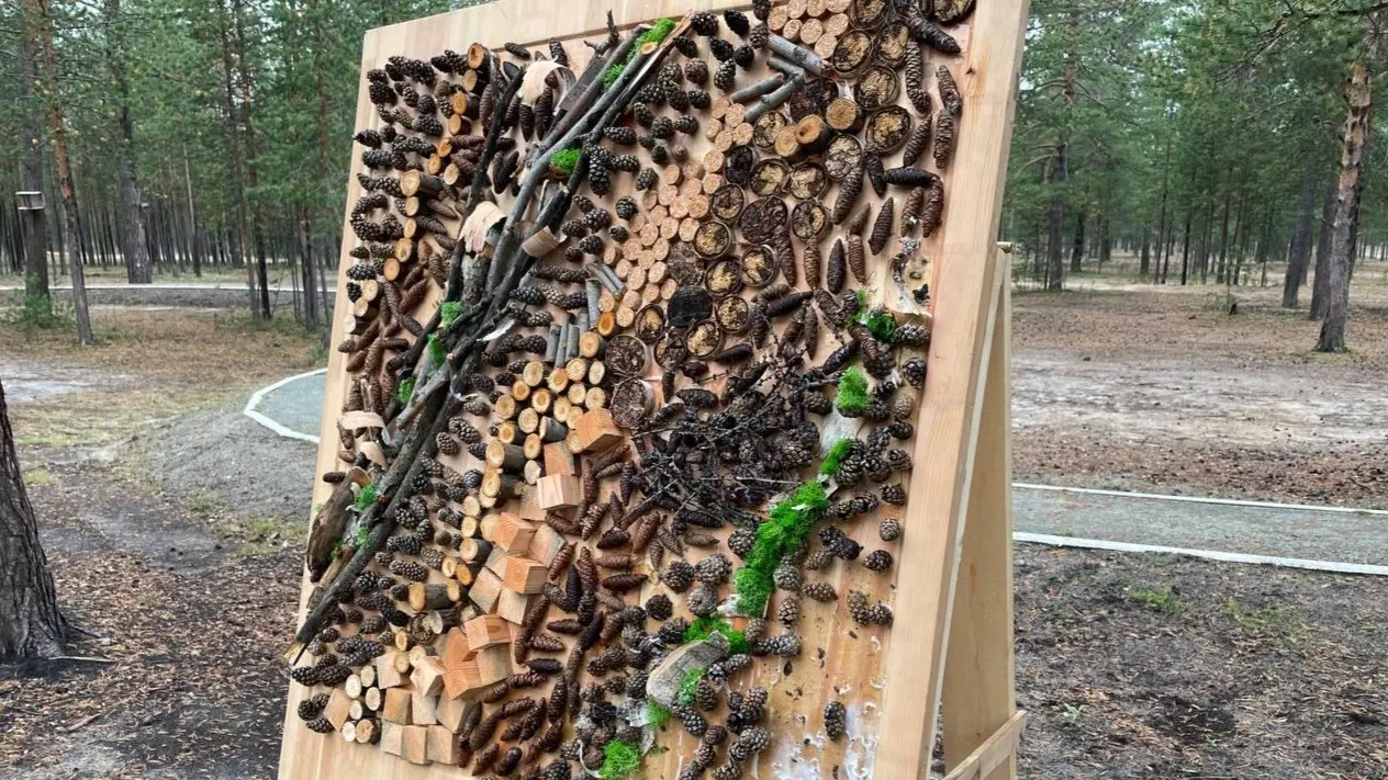 Фото: «Муравленковский день»