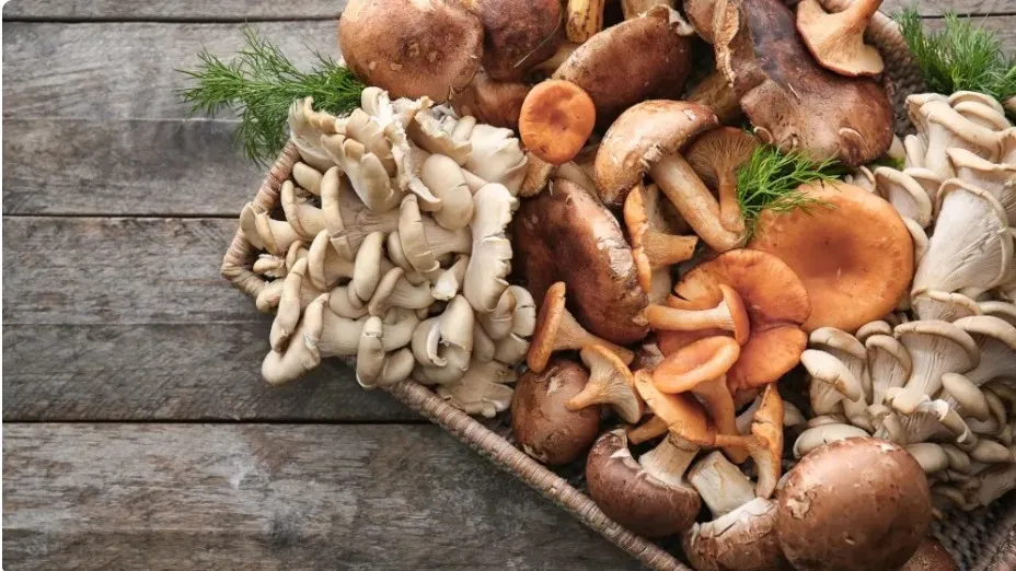 Фото: Africa Studio/Shutterstock/Fotodom