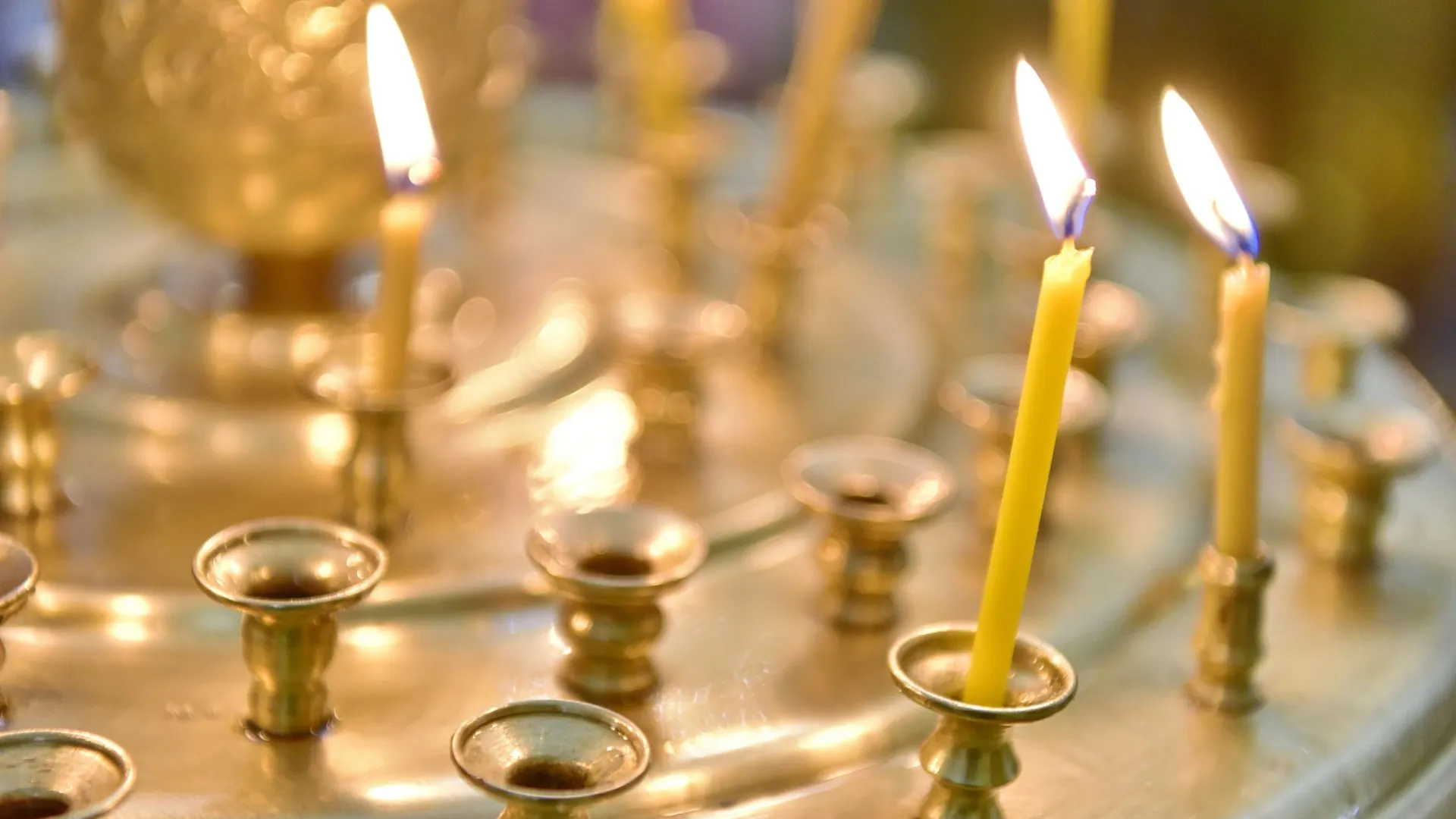 Фото: Андрей Ткачев/«Ямал-Медиа»