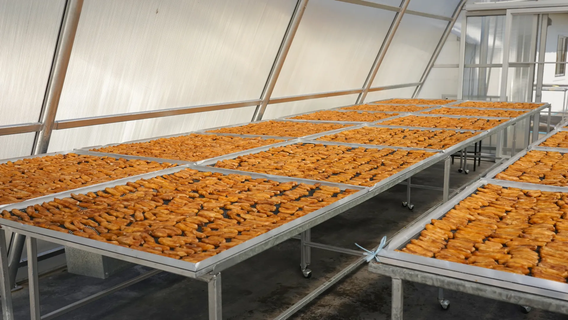 Фото: Sanit Fuangnakhon/Shutterstock/Fotodom