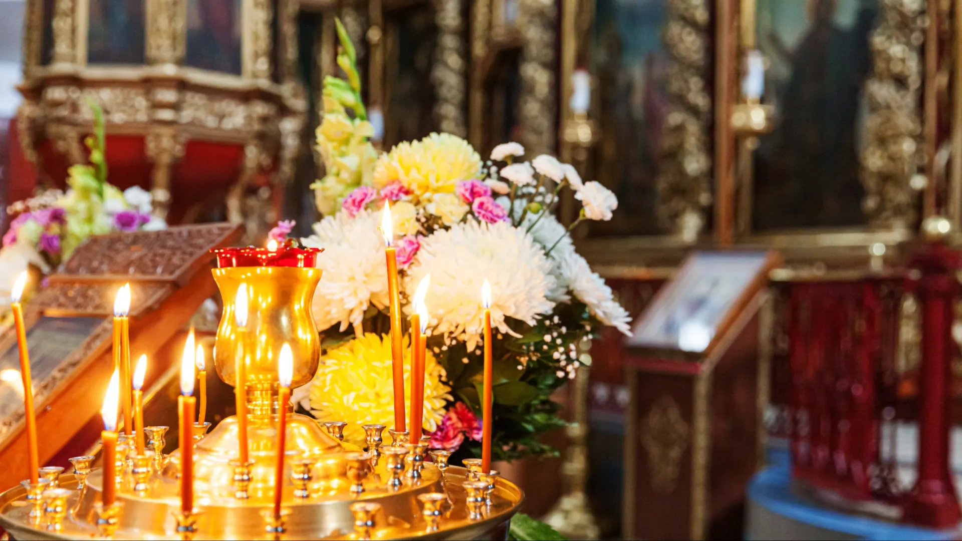 Фото: Julia Zavalishina/Shutterstock/Fotodom