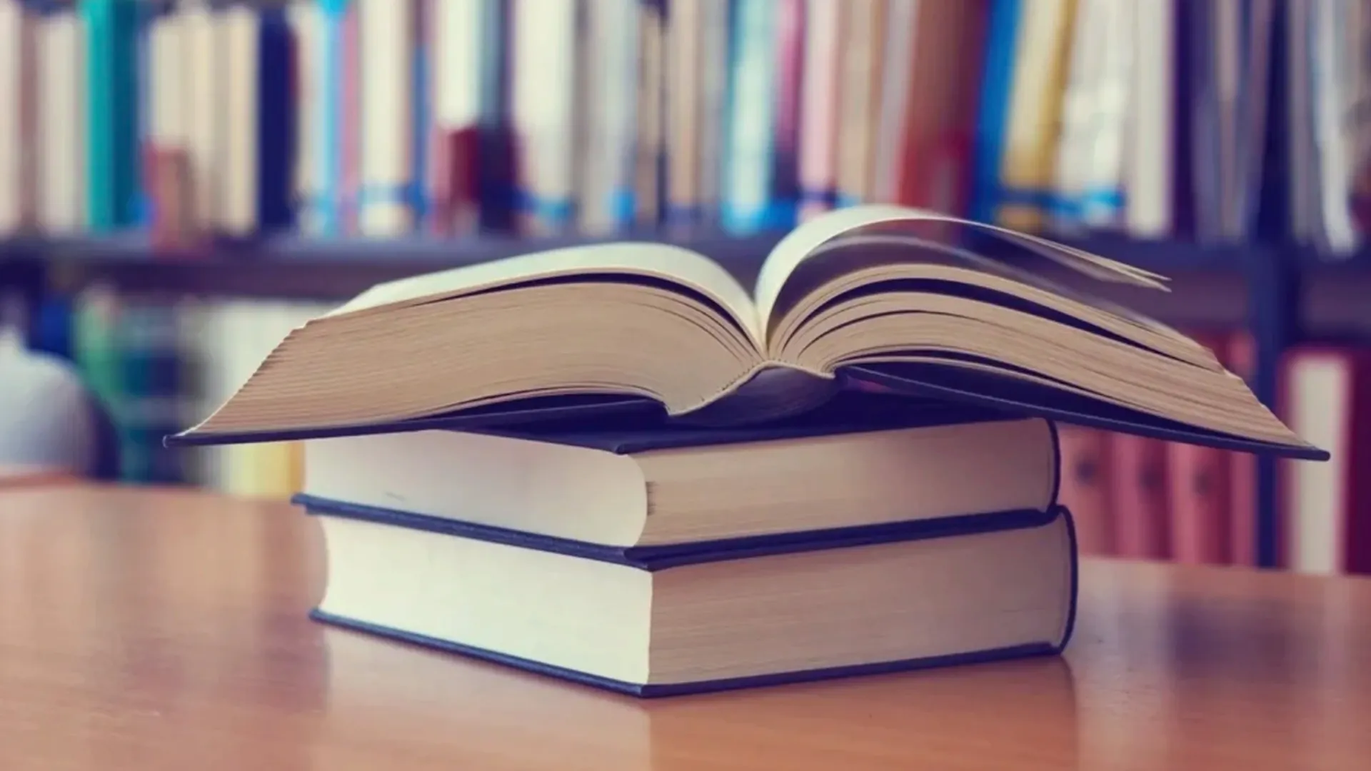 Фото: LeicherOliver/Shutterstock/Fotodom