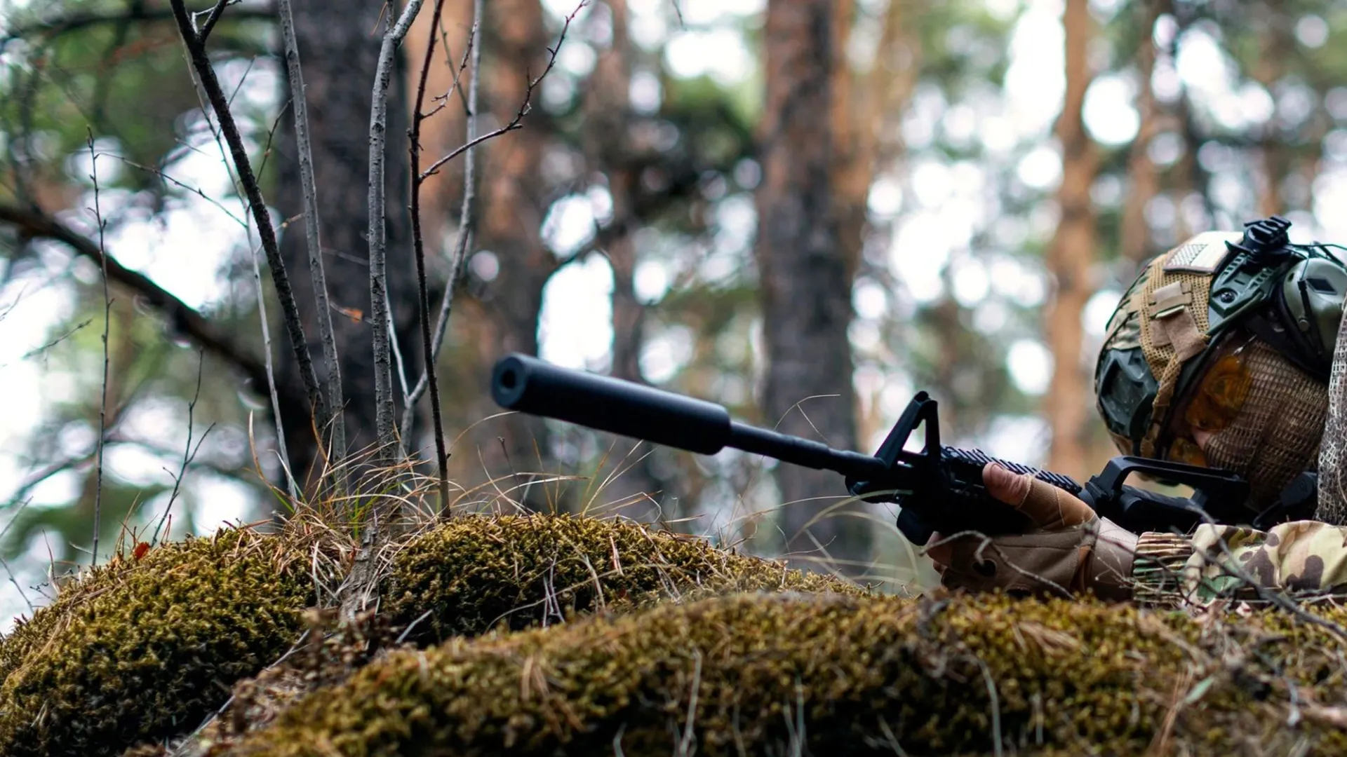 Фото: Green Elk/Shutterstock/Fotodom