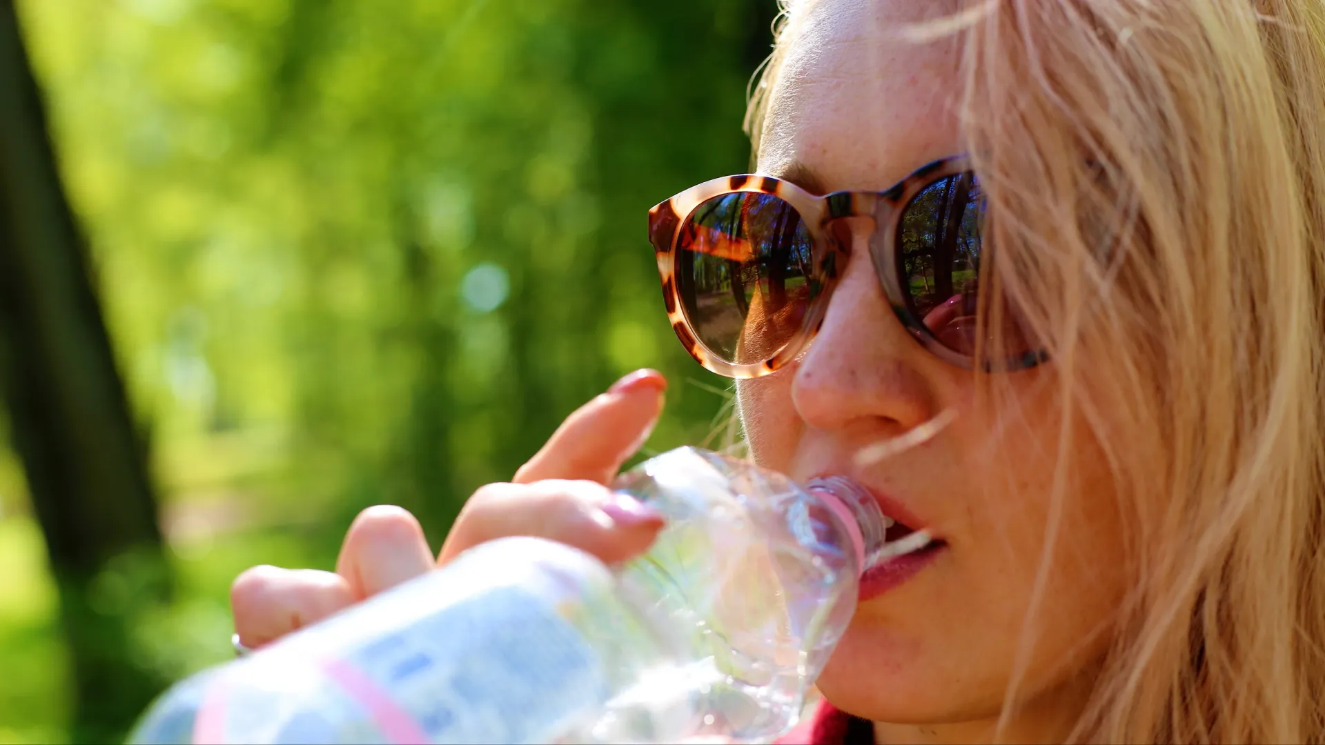 Фото: David Klimo/Shutterstock/Fotodom