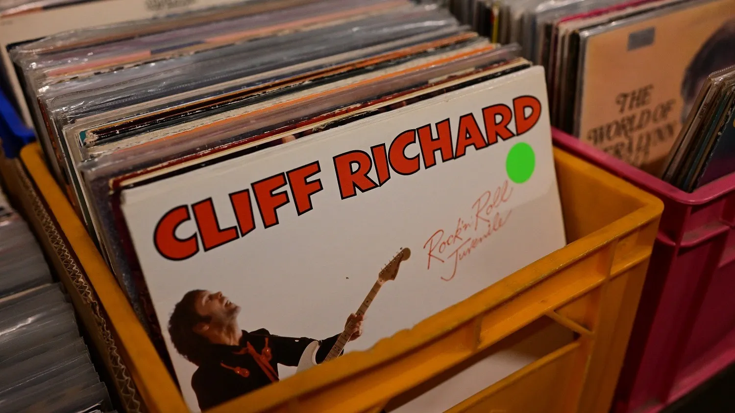 Фото: Woodan/Shutterstock/Fotodom