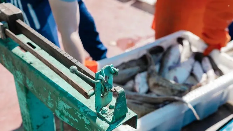 Фото: Андрей Ткачёв/«Ямал-Медиа»