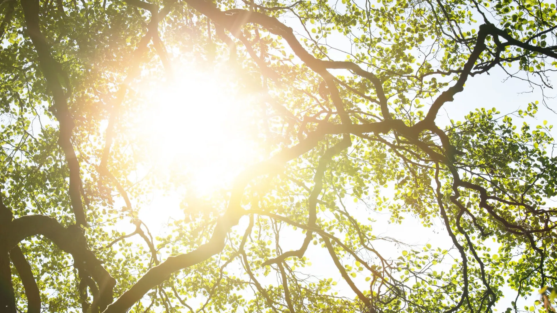 Фото: Rainer Fuhrmann/Shutterstock/Fotodom