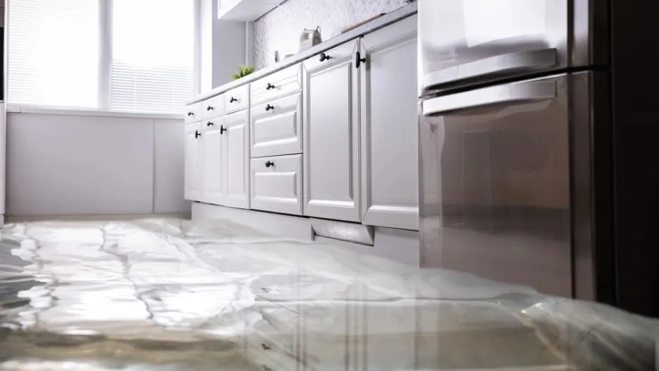 Фото: Andrey_Popov/shutterstock.com