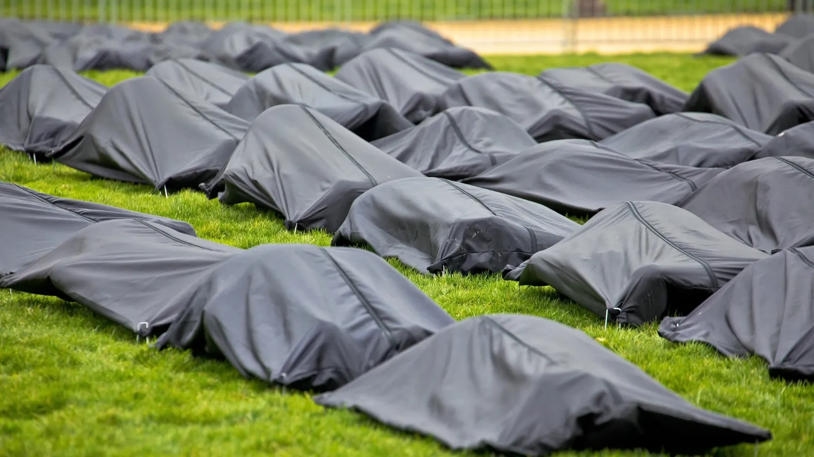 Фото: xbrchx/Shutterstock/Fotodom