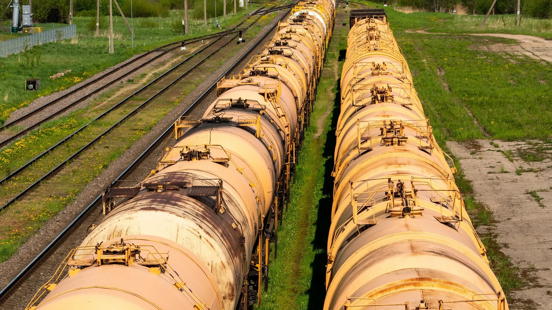 Фото: graja/Shutterstock