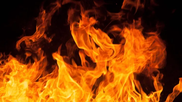 Фото: Ph.bySian/Shutterstock/Fotodom