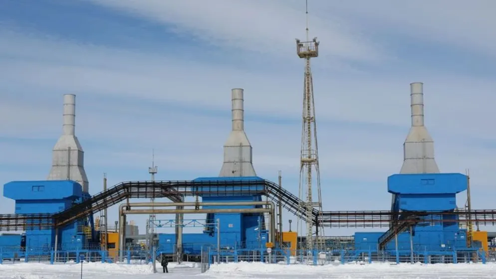 Фото: Андрей Ткачев/«Ямал-Медиа»