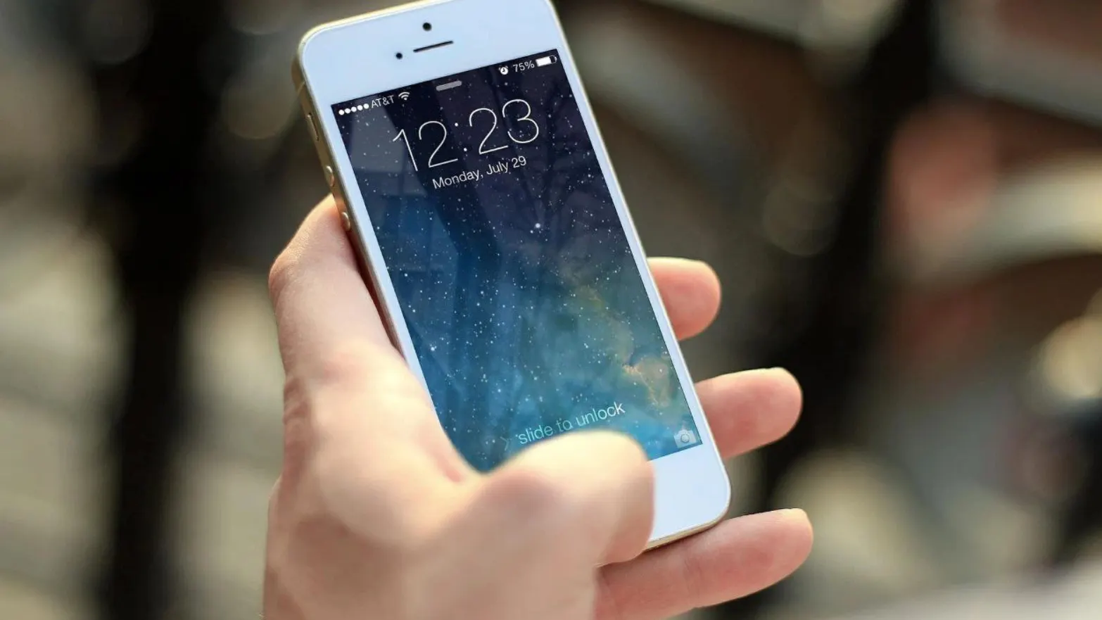 Фото: pixabay.com