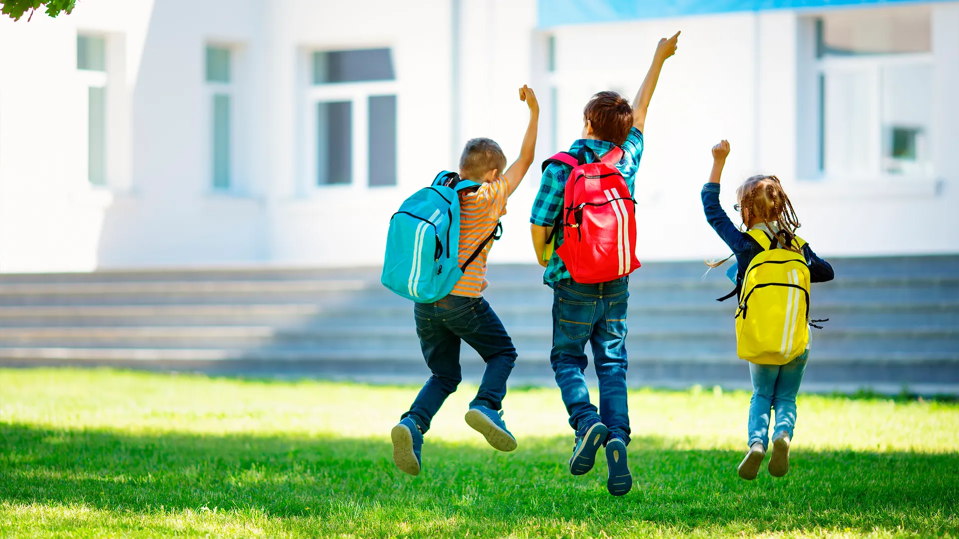 Фото: LeManna/Shutterstock.com