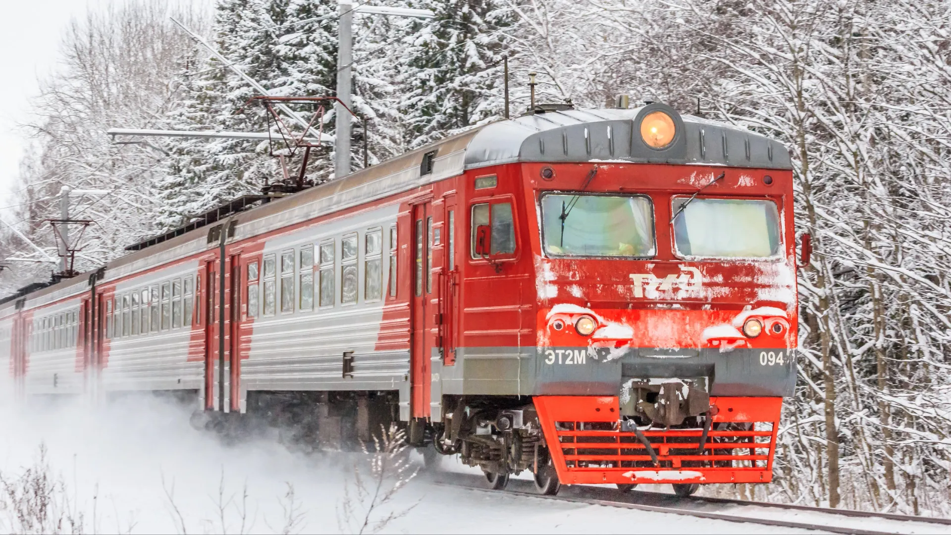 Фото: alenka2194/Shutterstock/Fotodom