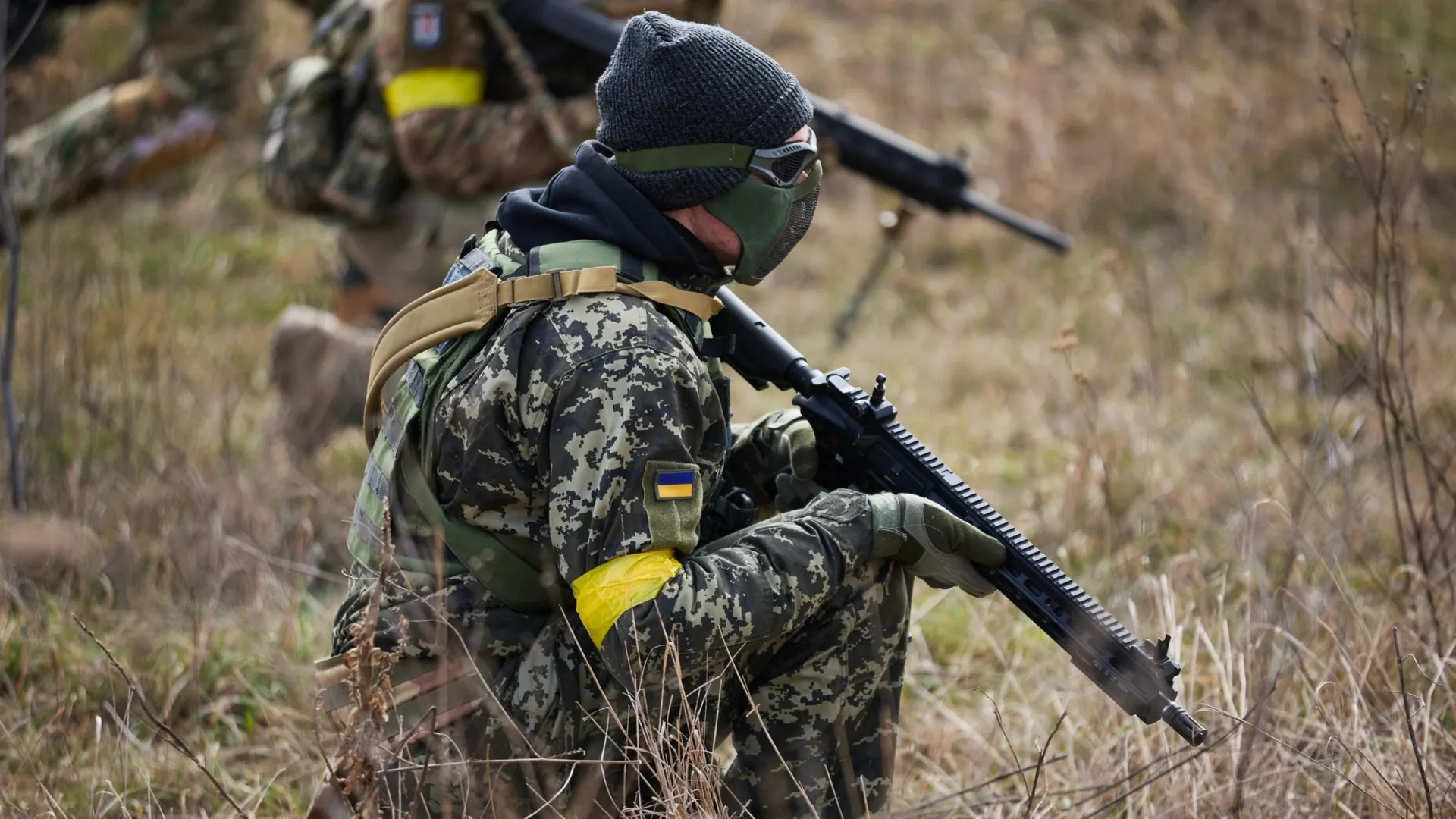 Фото: hurricanehank/Shutterstock/Fotodom