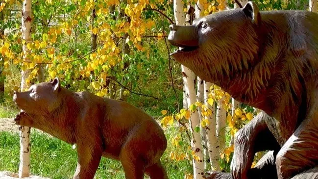 Ханымейские мишки как будто только вышли из леса. Фото: hikm.ru