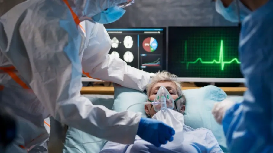 Фото: Ground Picture/Shutterstock/Fotodom