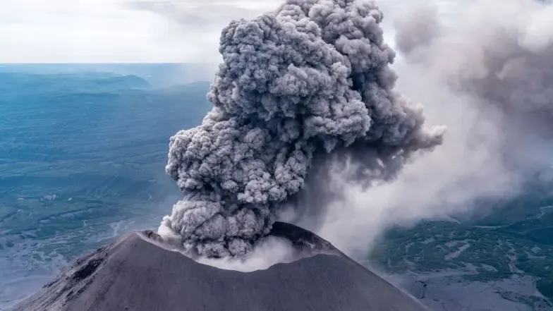 Фото: oldravvv/Shutterstock/Fotodom