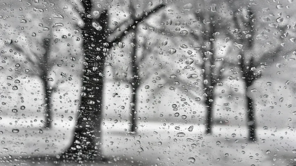 Фото: Victor Grow/Shutterstock/Fotodom