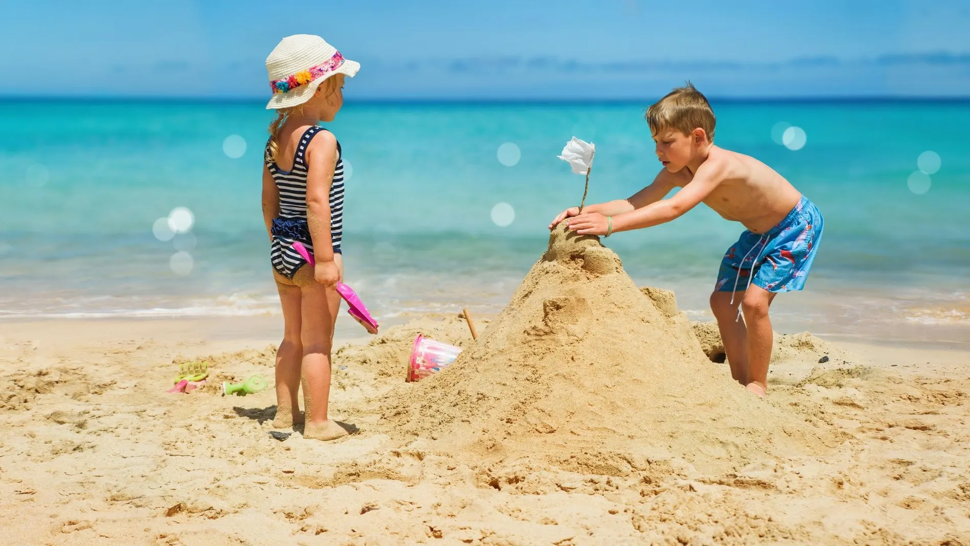 Фото: Igor Link/Shutterstock/Fotodom